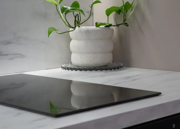 Carol Heart 布加勒斯特